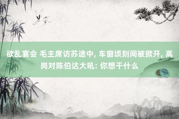 欲乱宴会 毛主席访苏途中， 车窗顷刻间被掀开， 高岗对陈伯达大吼: 你想干什么